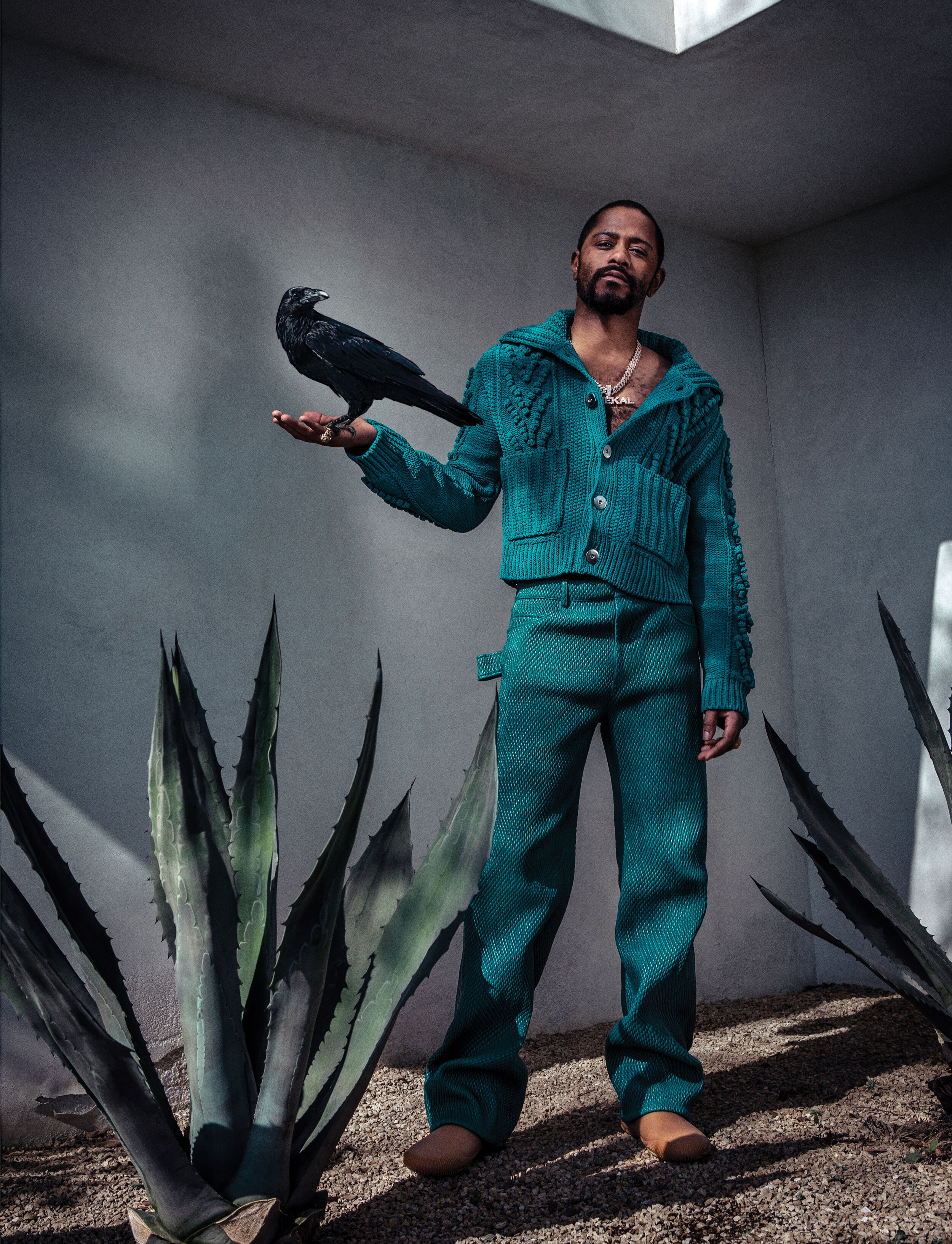 LaKeith Stanfield | Thirty Pieces of Silver, or Divinity? As the Crow  Flies...