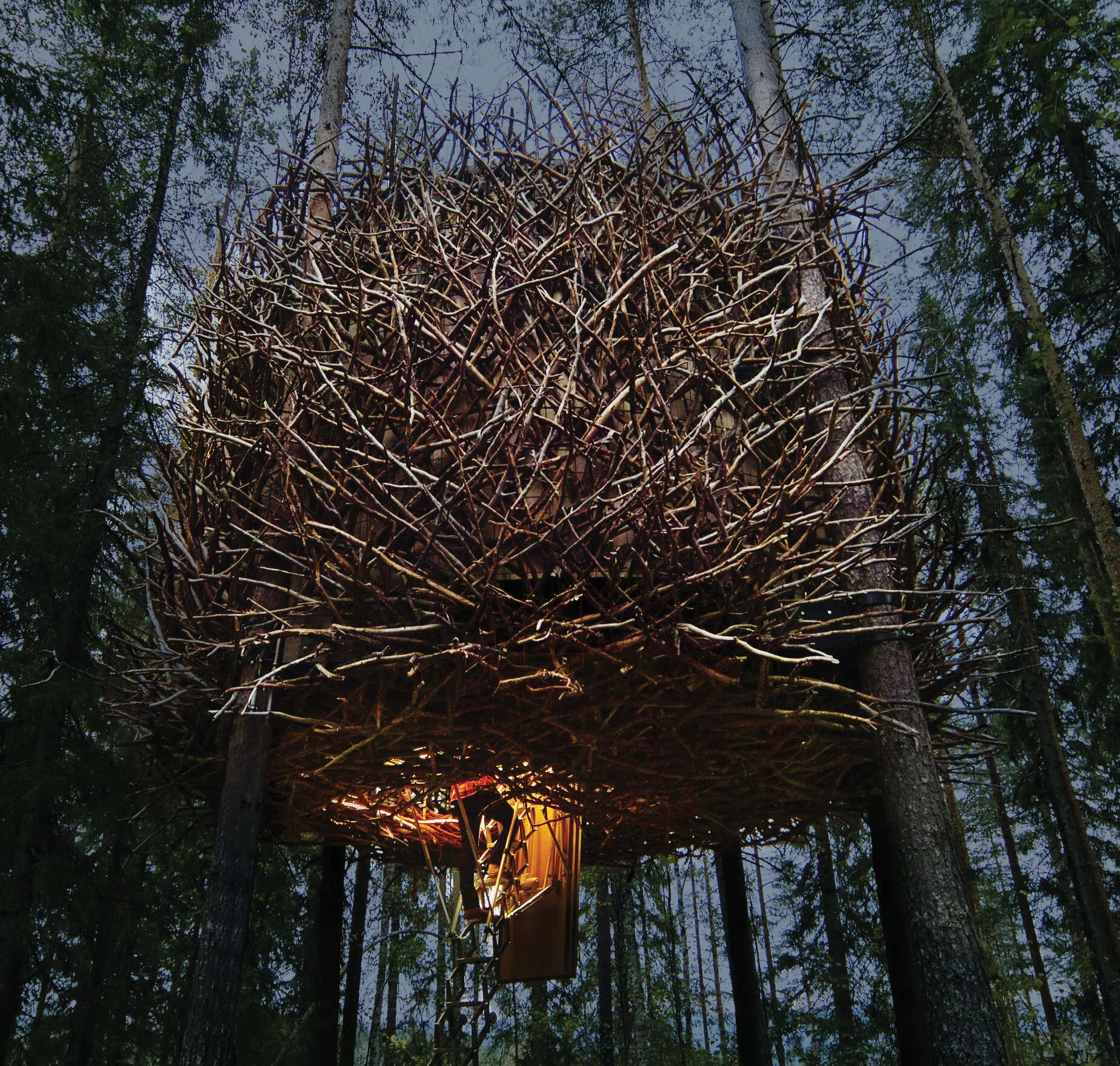 The Bird's Nest A bird's eye view from Kent Lindvall and Bertil Hartström