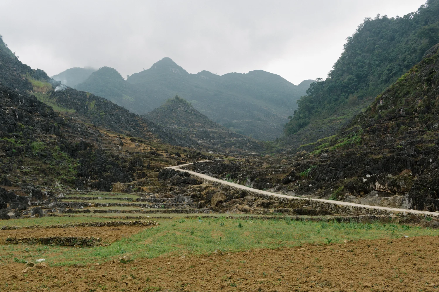 HaGiang_WEB_170315_09.jpg
