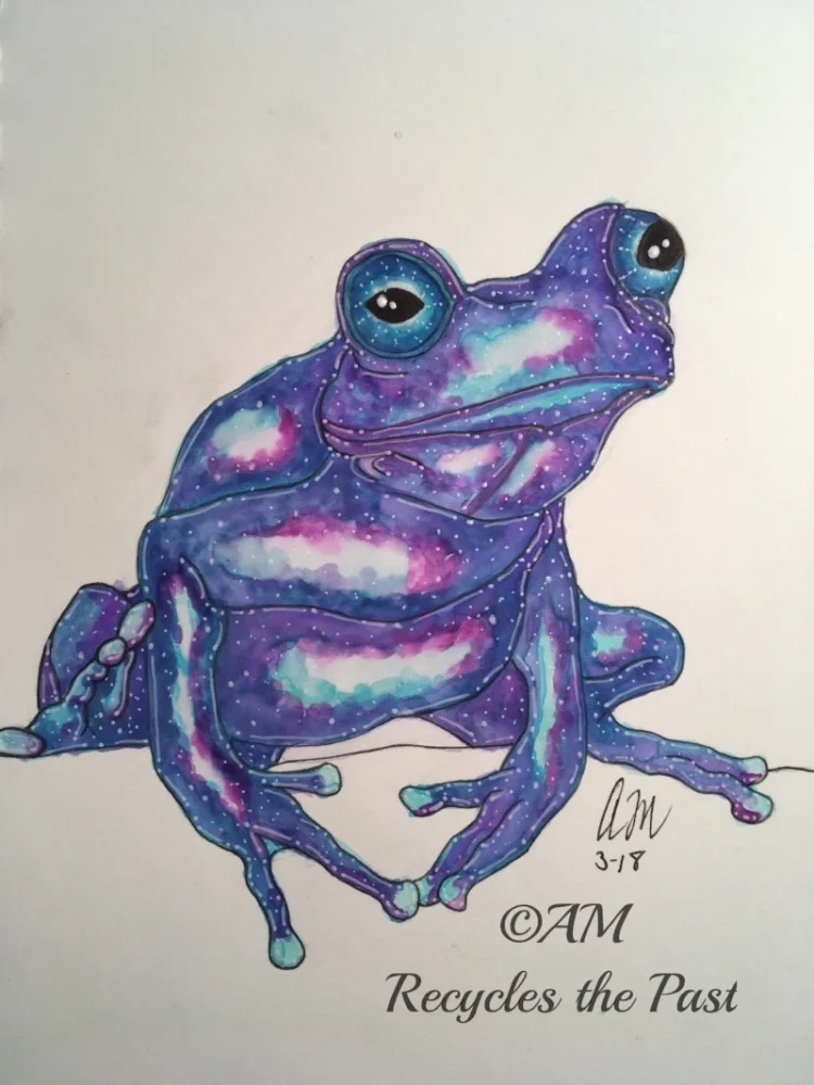 Galaxy Frog Artist : Amy Meko Instagram : @recyclesthepast_art Twitter : @amphoto_art Email : sketchmeko101@gmail.com