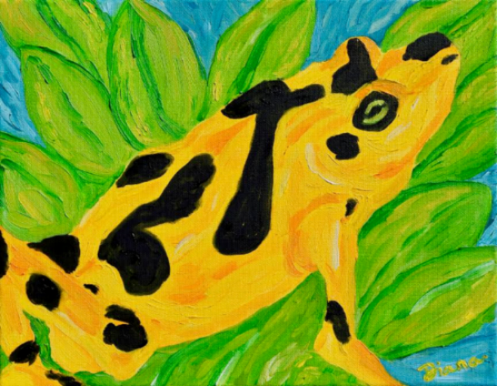 "Lost Treasure" : Panamanian Golden Frog Artist : Diana Fletcher Instagram : @needmorewildlife Twitter : @DianaKFletcher Email : needmorewildlife@gmail.com Website : http://www.needmorewildlife.com/lost-treasure.html