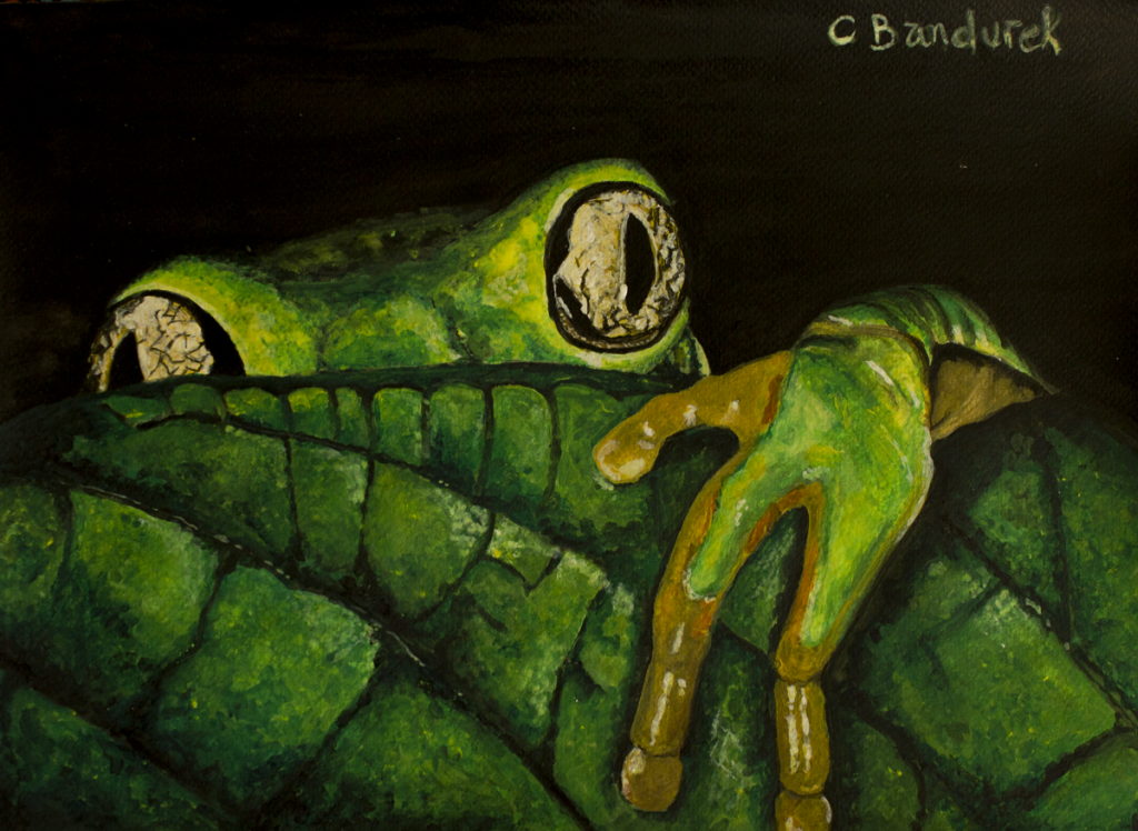 Artist : Cynthia Bandurek Instagram : @cynthiabandurek_artphotography Website : https://cynthiabandurek.com/