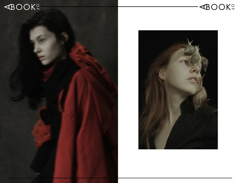 webA_BOOK_OF_DARIA_AMARANTH_PAGES11-12.jpg