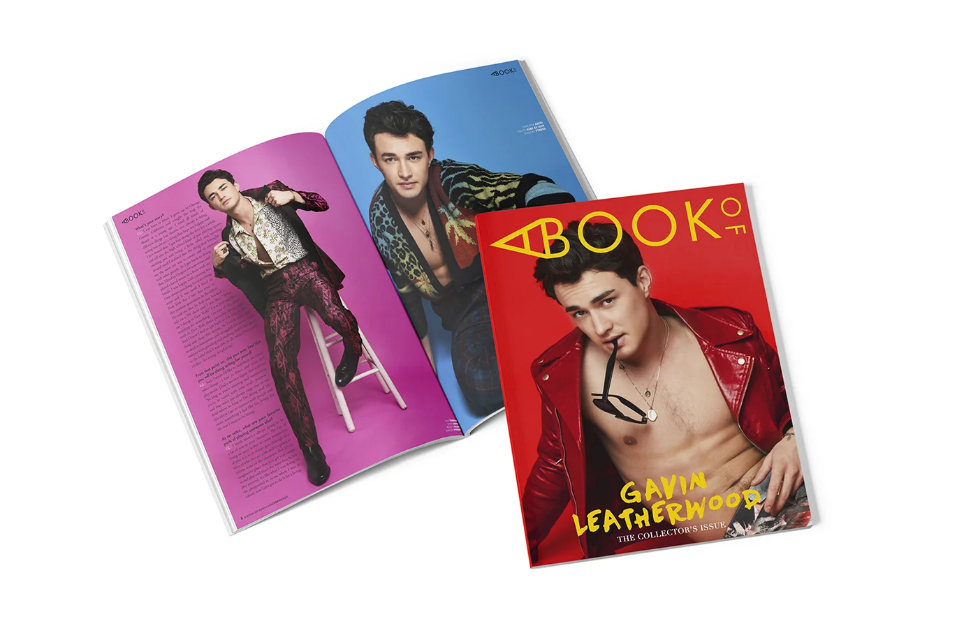 GAVIN LEATHERWOOD [THE CHILLING ADVENTURES OF SABRINA] — A BOOK OF MAGAZINE