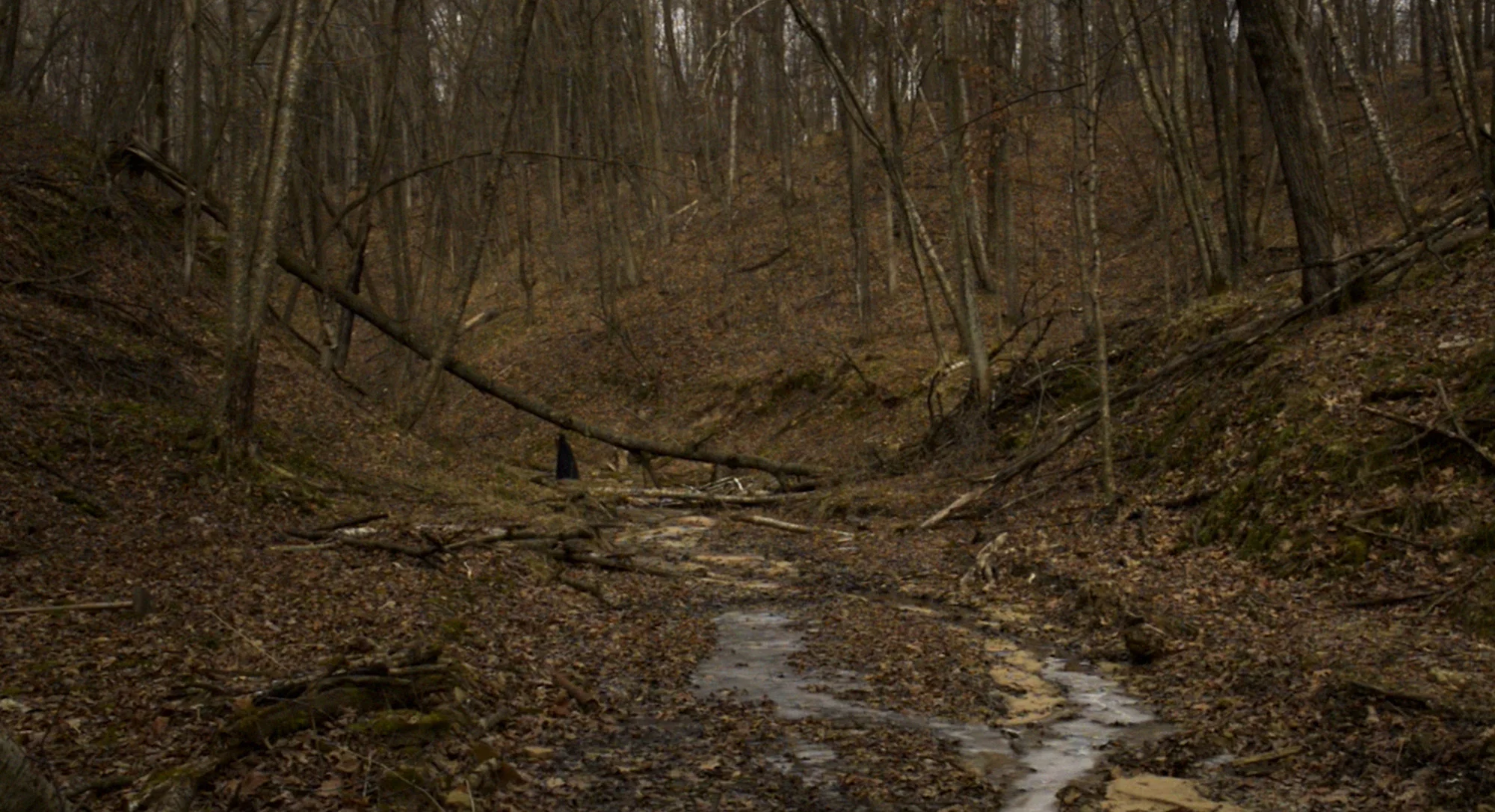 Onere 00.30.07_web.jpg