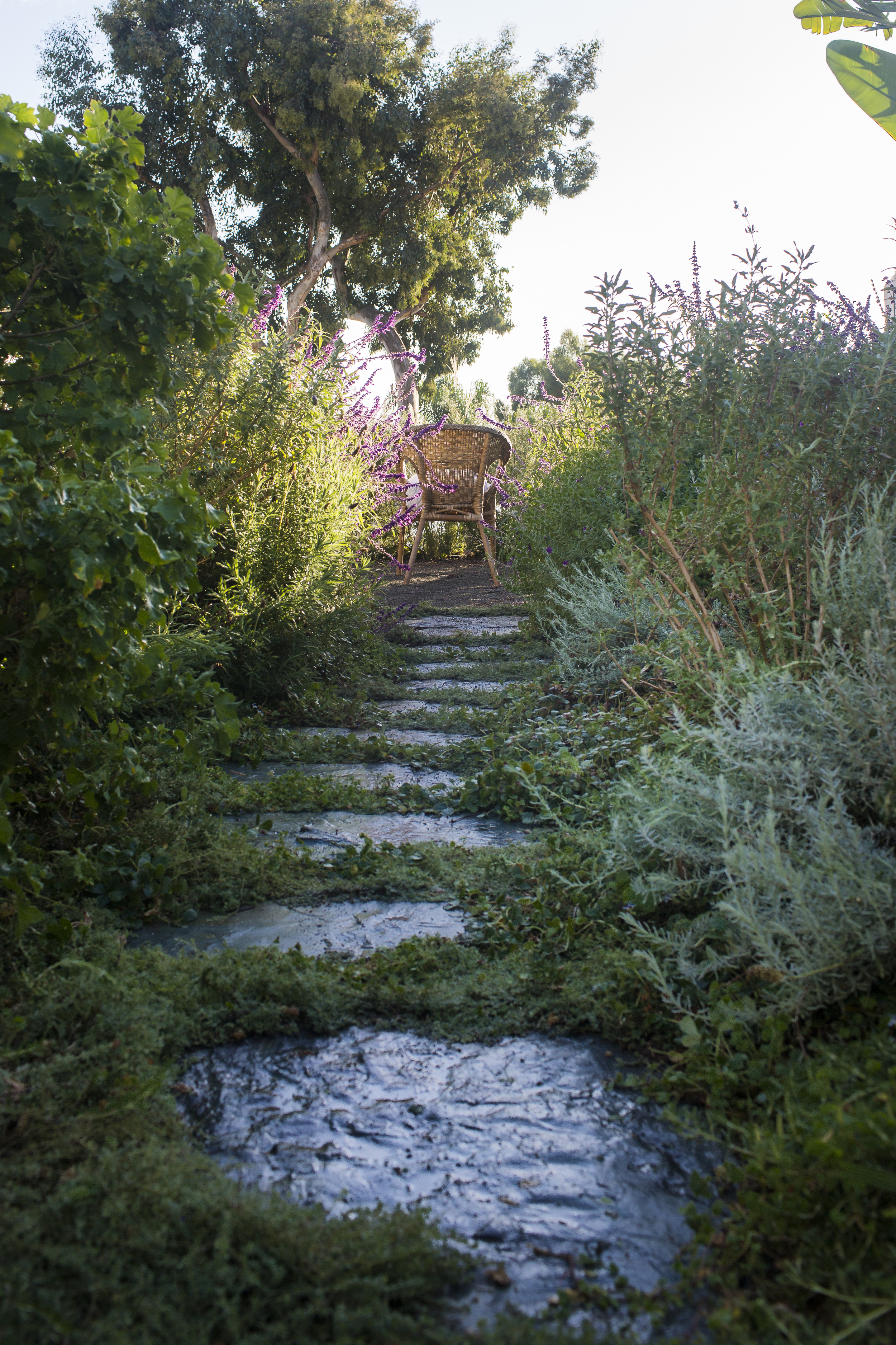 alohaflagstone path.jpg