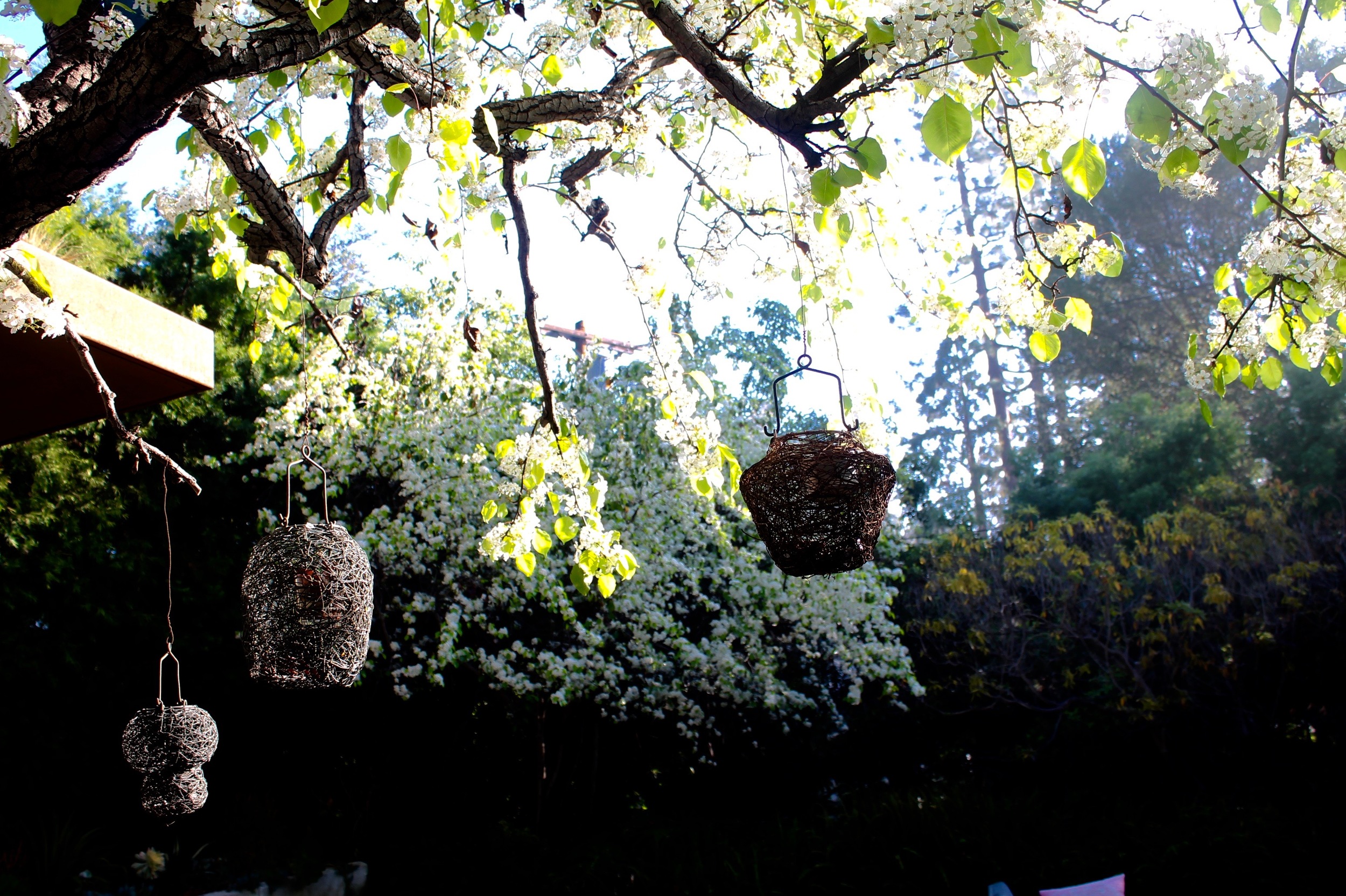 greentree birdhouses.jpg
