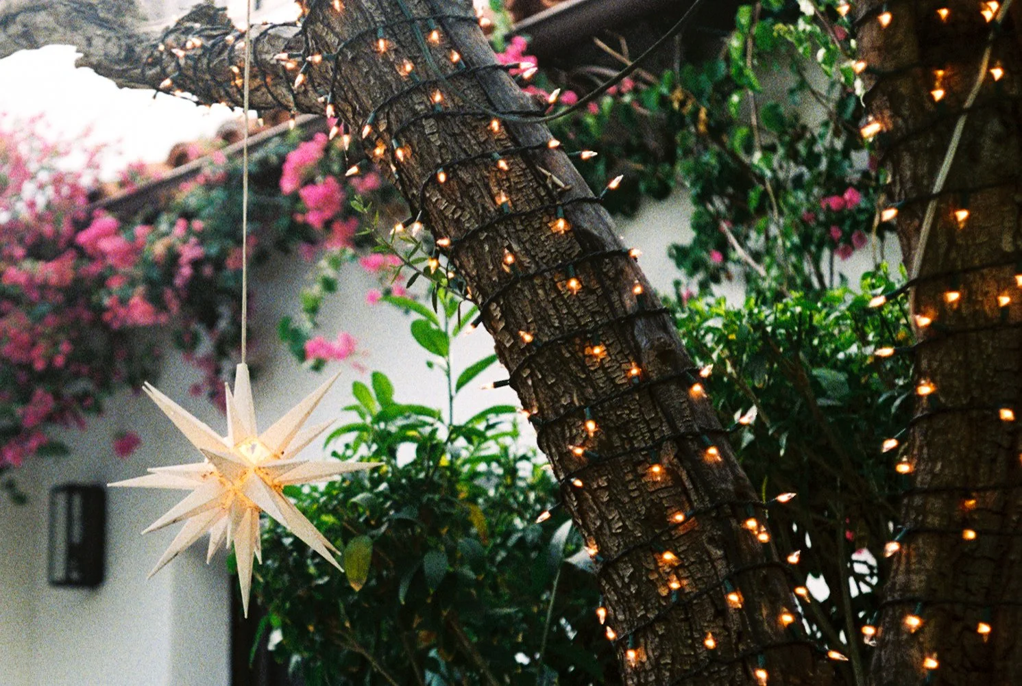 image00011.jpeg