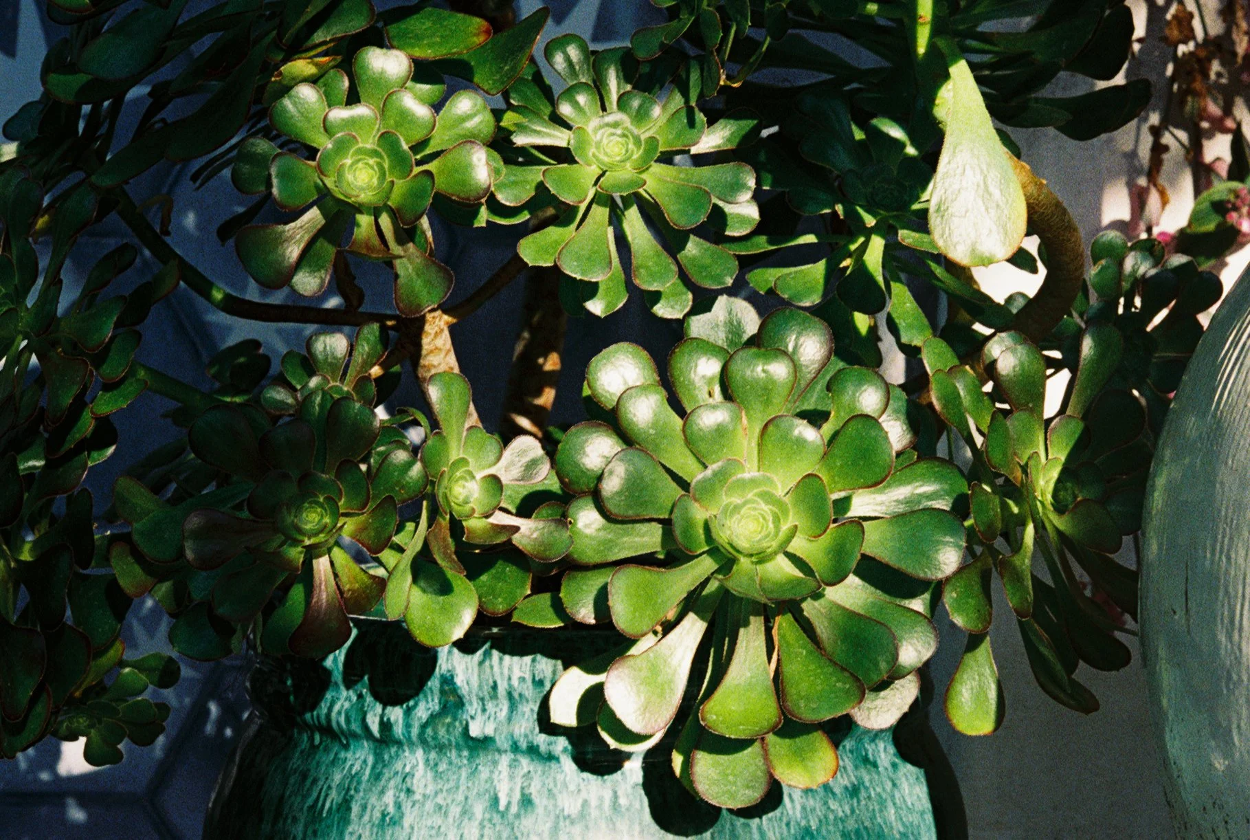 image00005.jpeg