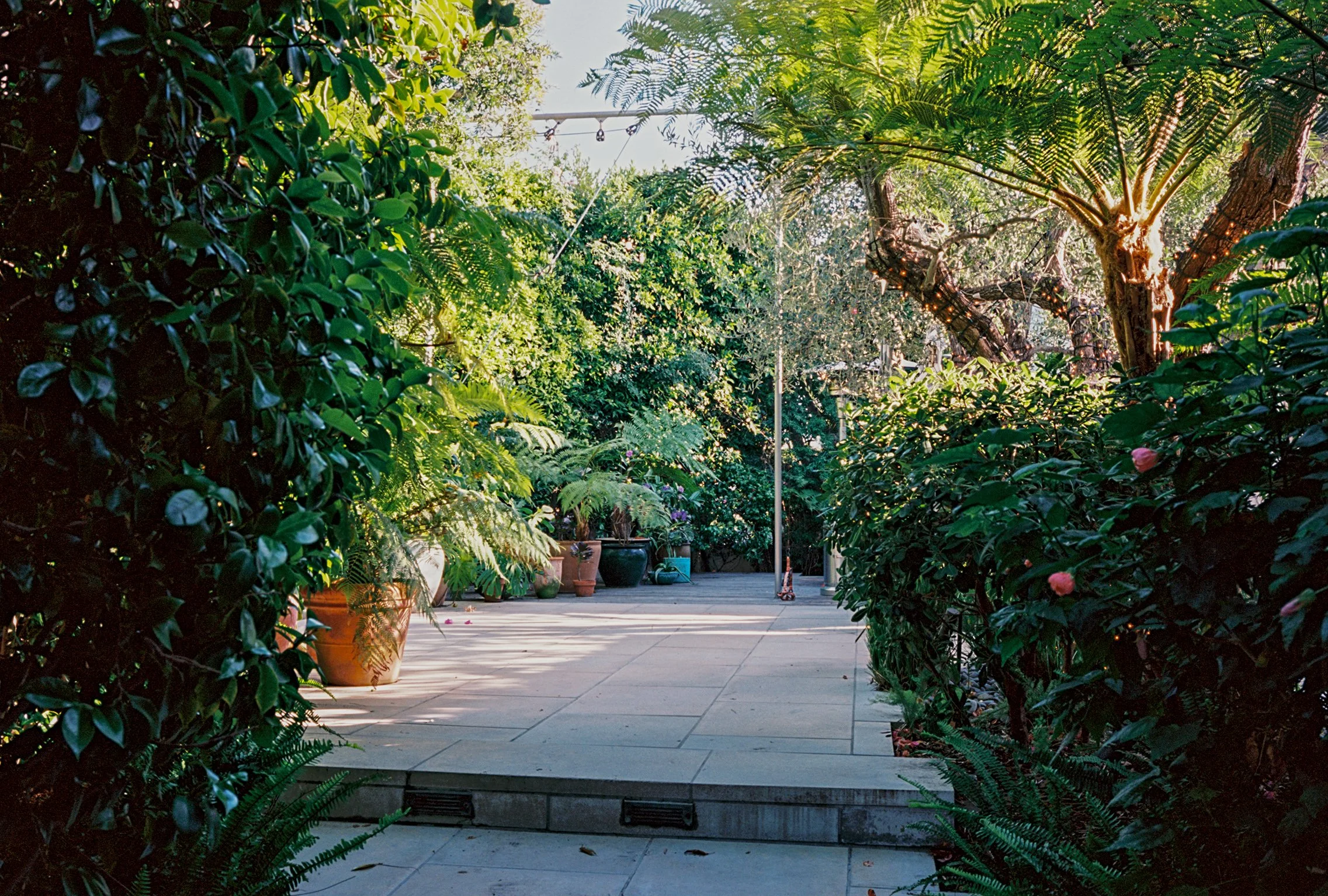 image00003.jpeg