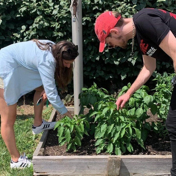 Two of our volunteers hard at work with the garden beds at the Rec Center!