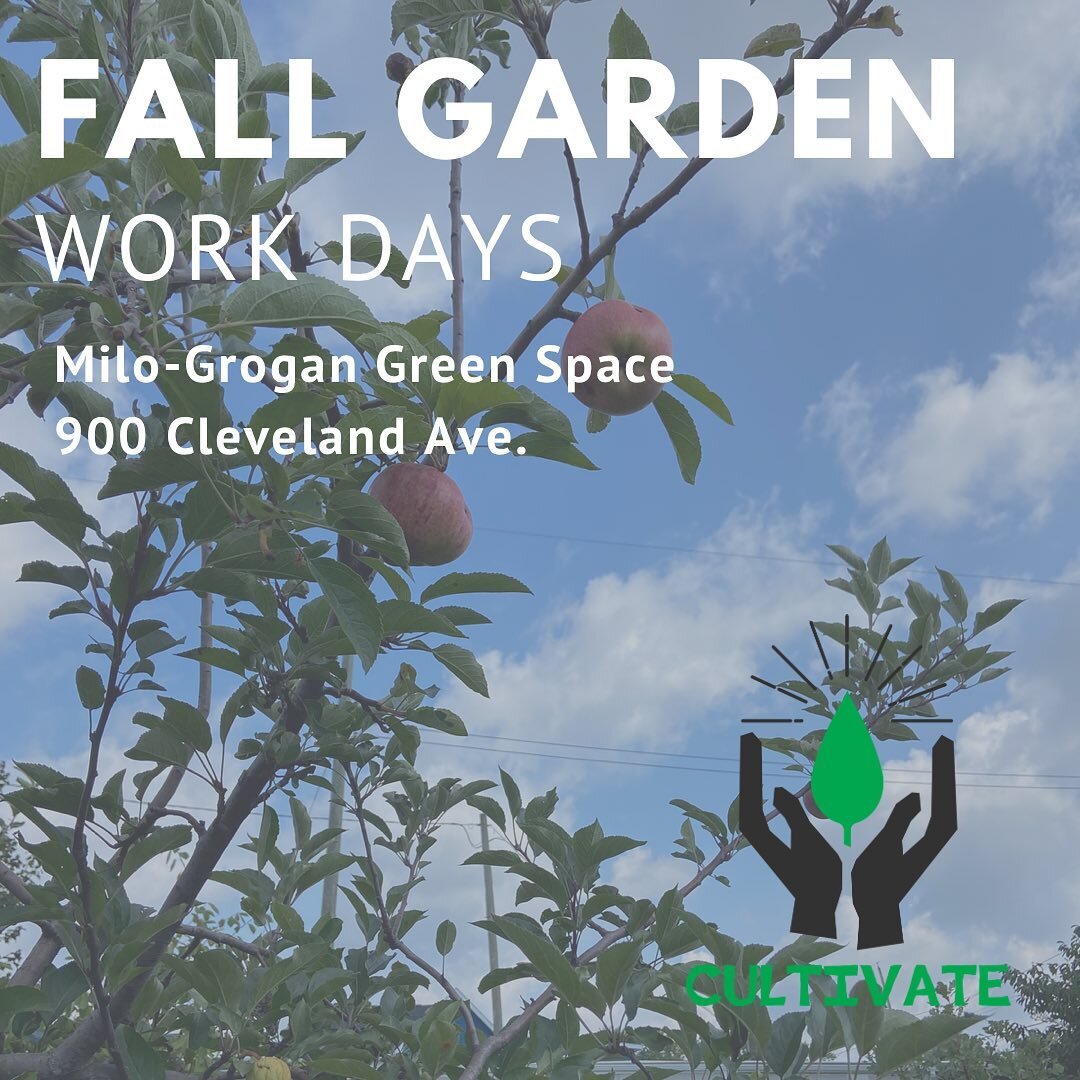 As we roll into fall, Cultivate is rolling out new September/October volunteer work times for our Garden Collective starting this week. We&rsquo;d love your help with fall harvesting, maintenance, and winterization. See you at the Milo-Grogan Green S