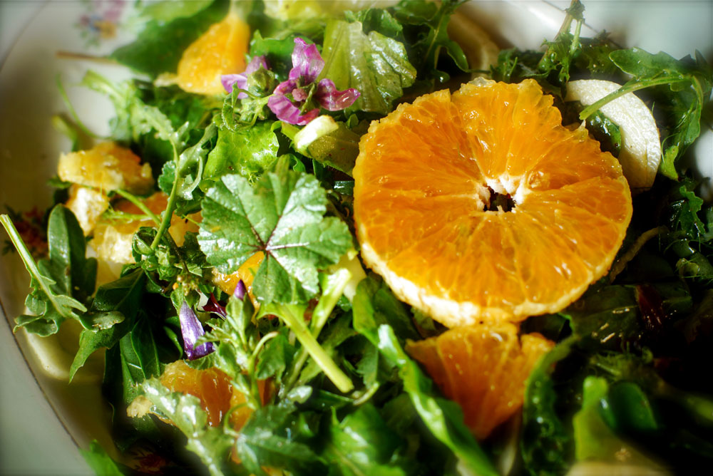 Wild green salad