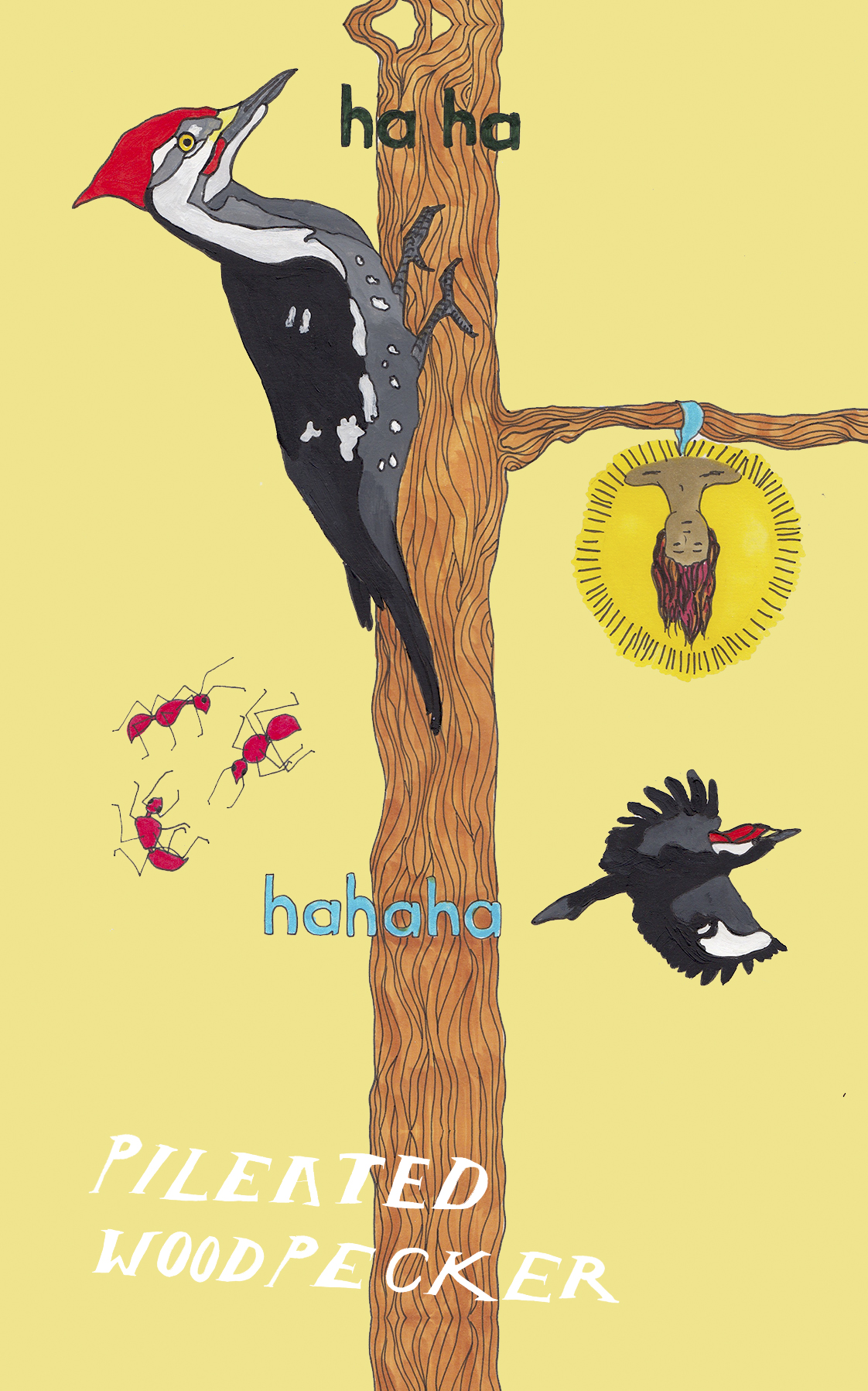 12 woodpecker hanged man.jpg