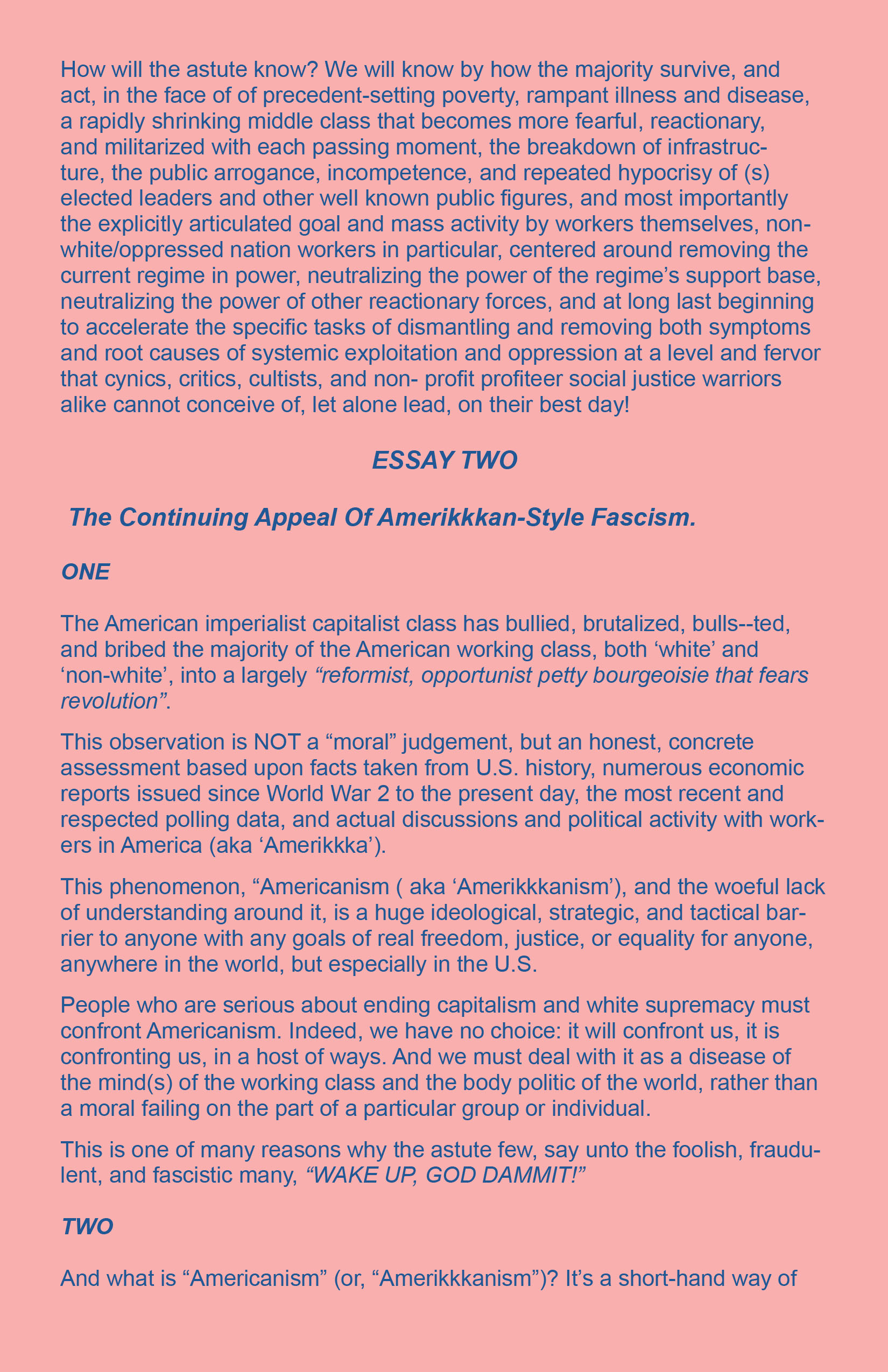PP DAMMIT WEB.pdf-6.jpg