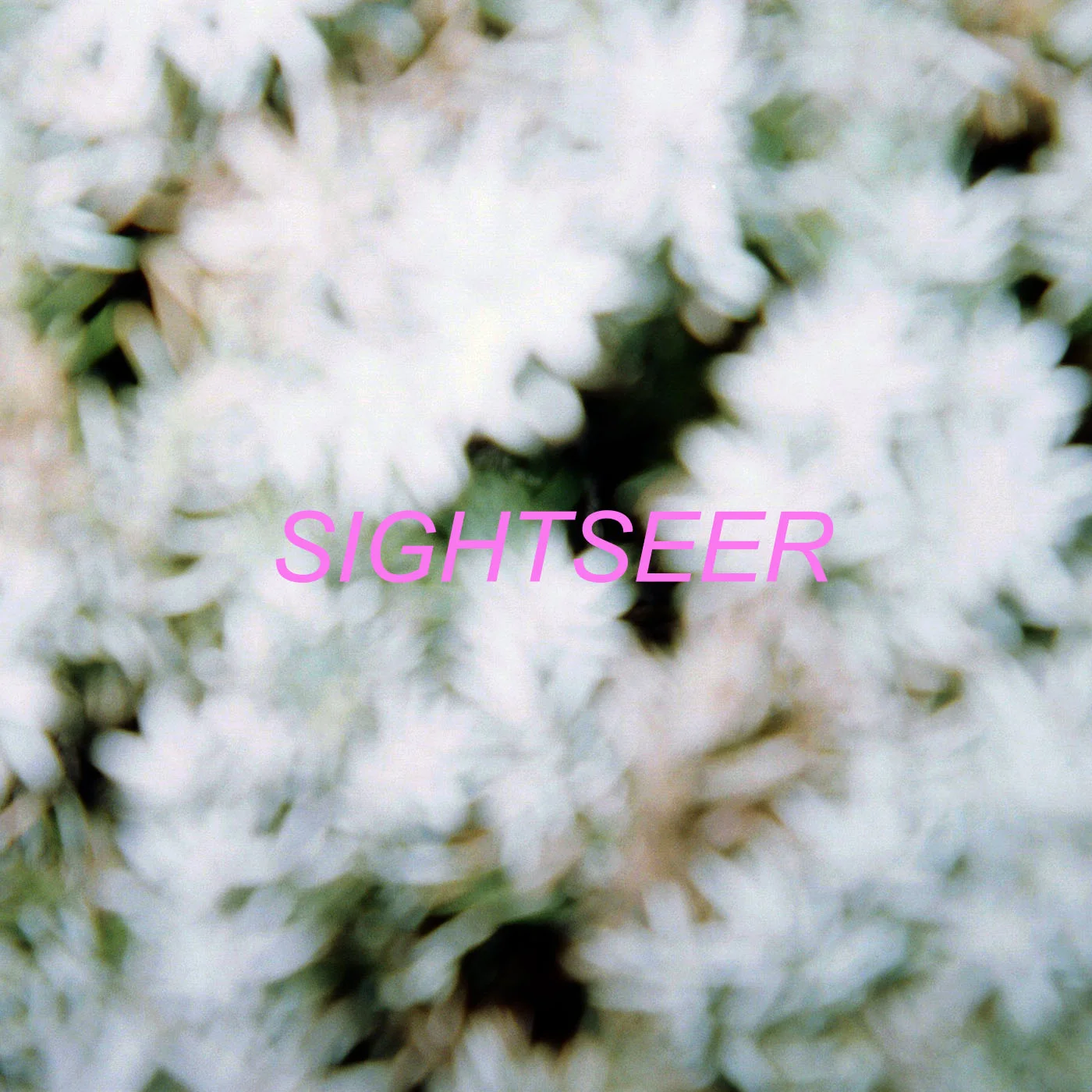 Sightseer