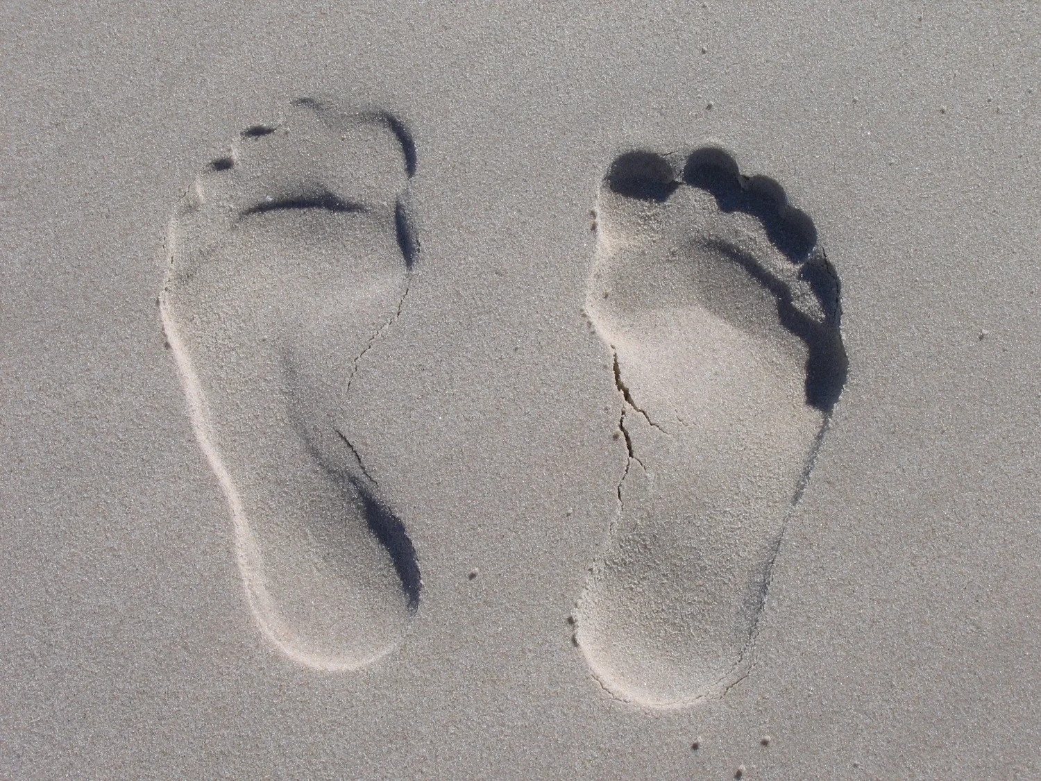 Small Business Owners Can’t Ignore the Importance of a Digital Footprint