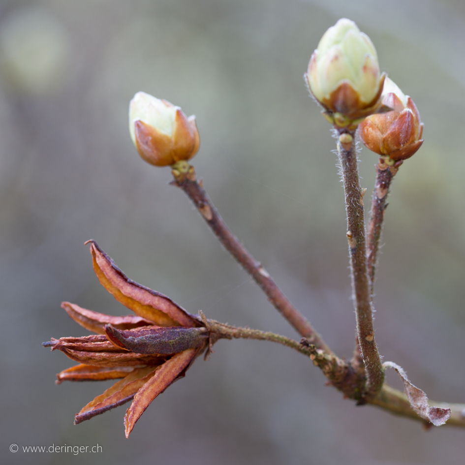 2016-04_Seleger-0235-Bearbeitet.jpg