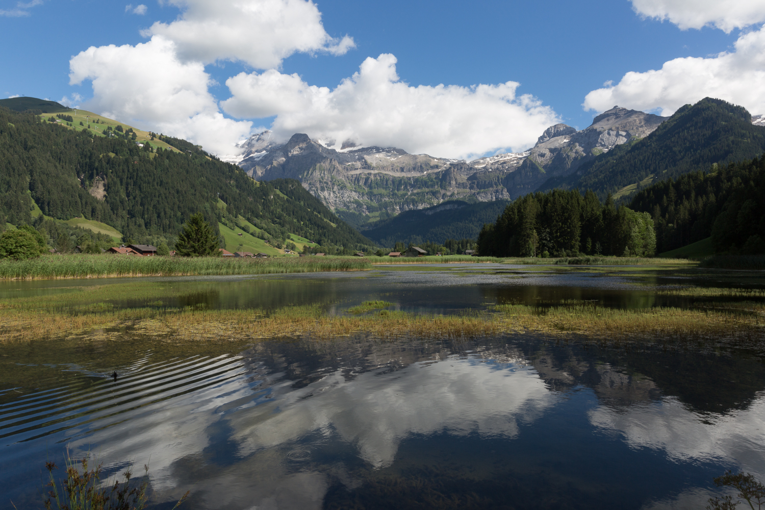 2016-08_Lenk_00944.jpg