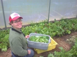 Harvesting salad greens at the farm in Oregon, 2010