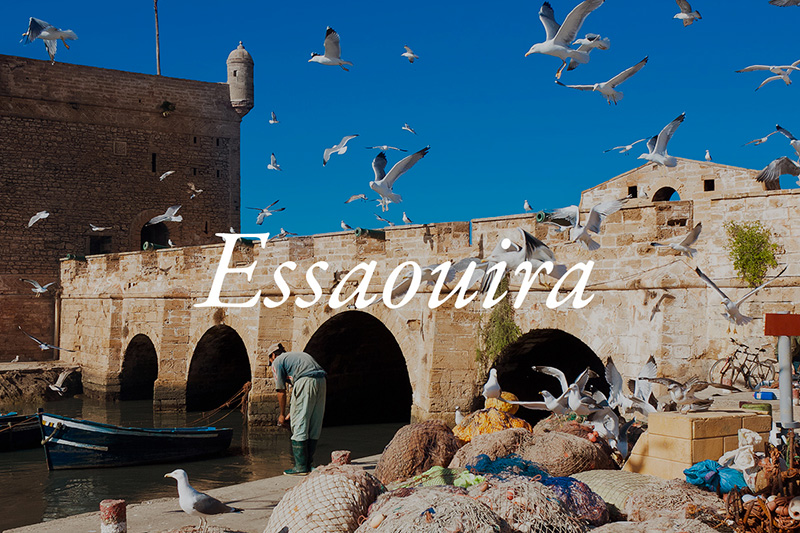 essaouira-vign.jpg