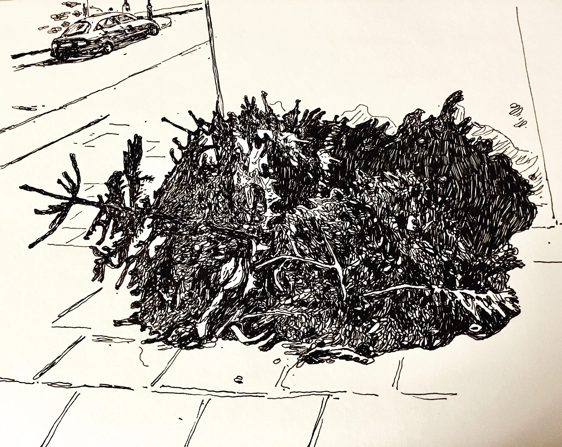 Homeless Chrimbo Tree 2019