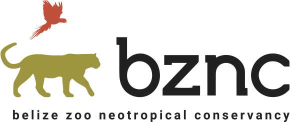 BZNC