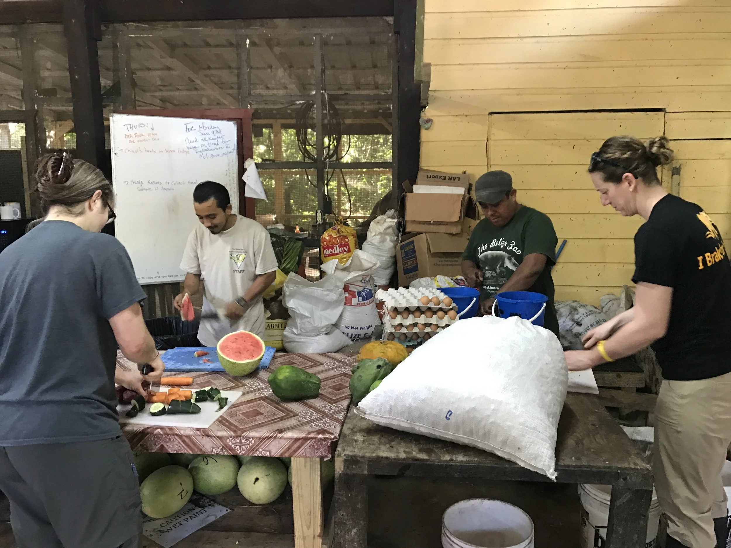 Belize Zookeeper Workshops