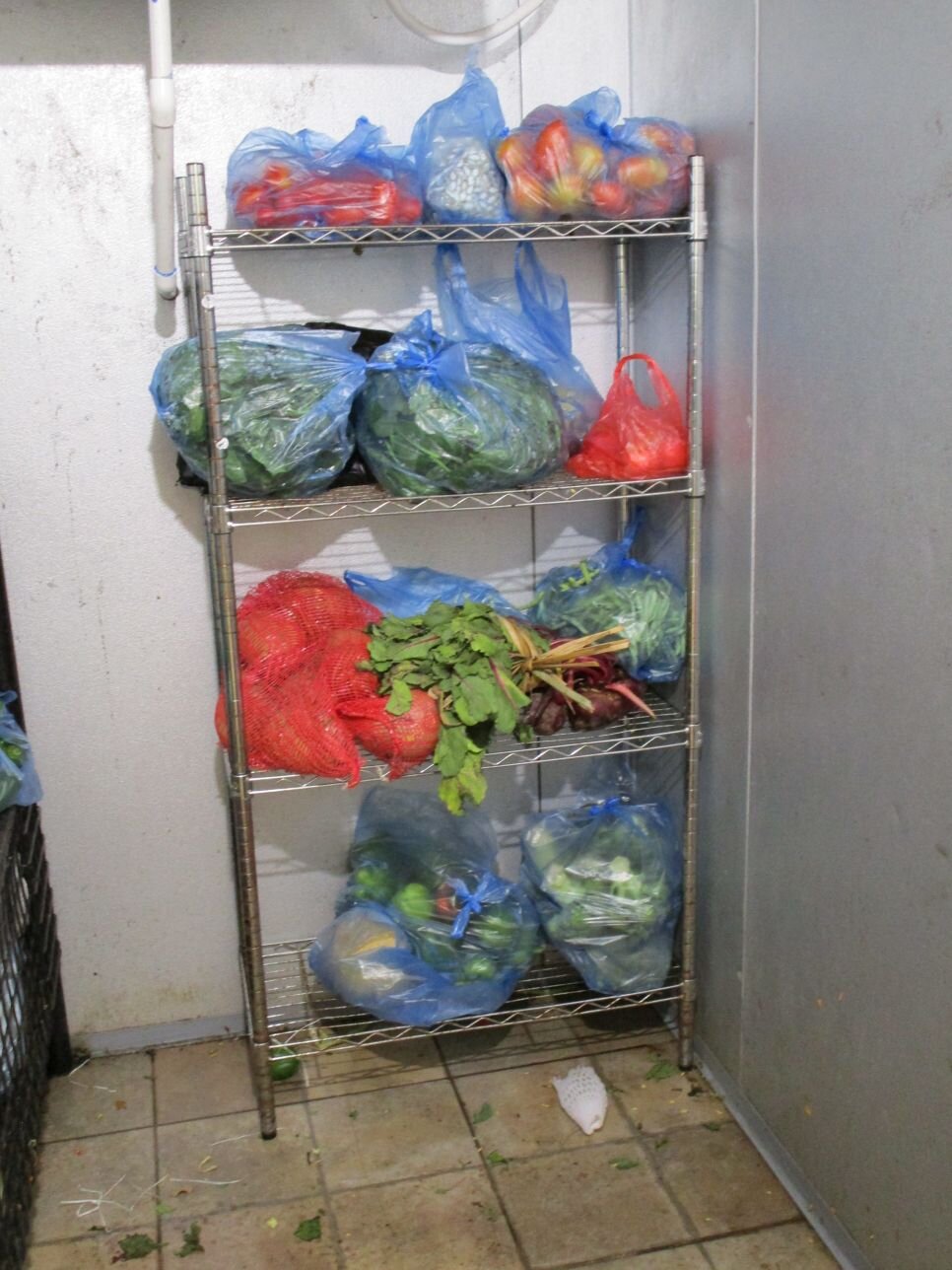 Inside-of-fruit-veg-cooler2.JPG