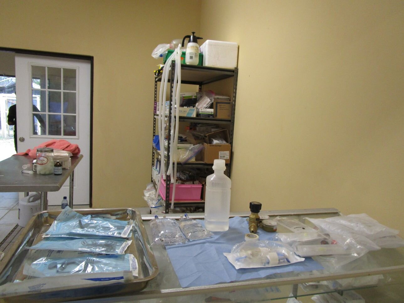 Surgery-prep-area.JPG