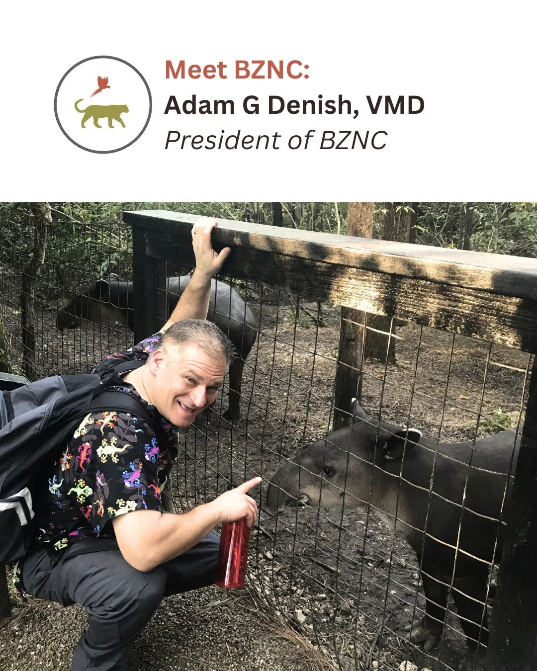 Meet our president, Adam! Get to know his story with BZNC, the role his veterinary background plays in our mission, and what keeps him inspired.