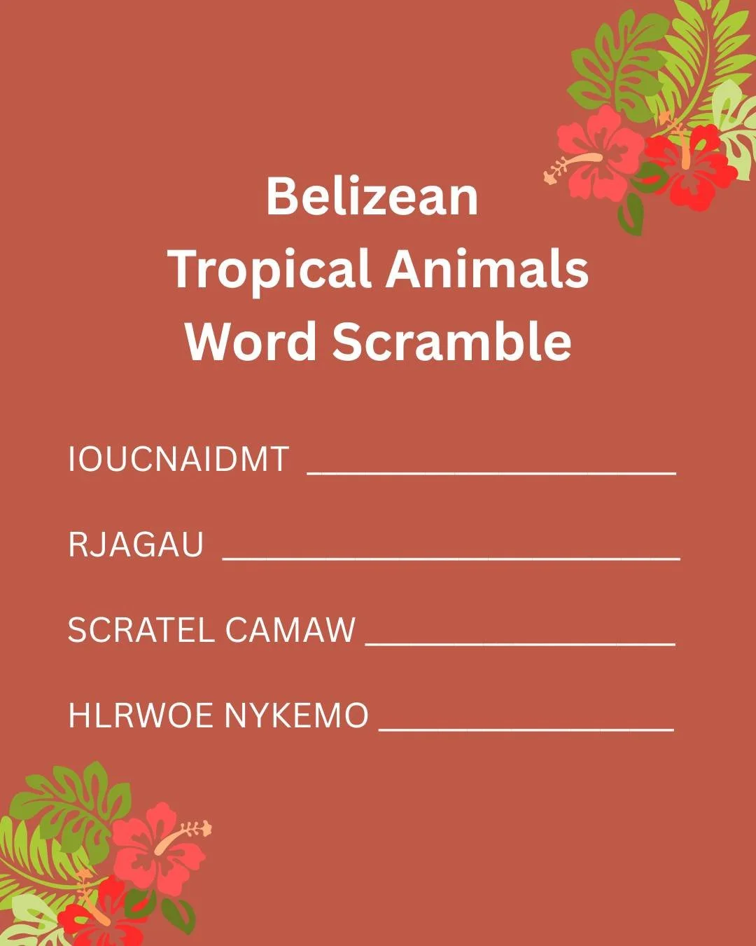 Friday means game time! Let us know in the comments what tropical animal names you see 👀