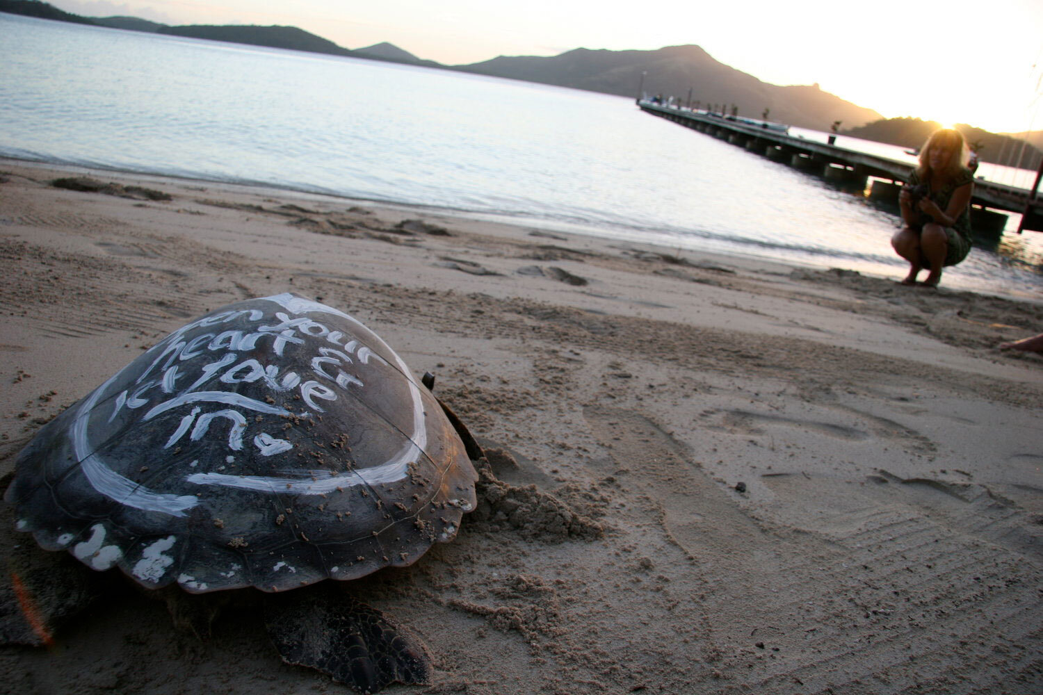Lynda+Howitt+Fiji_Saving Turtles