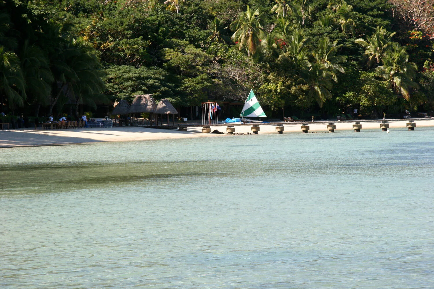 Lynda+Howitt+Fiji_Saving Turtles