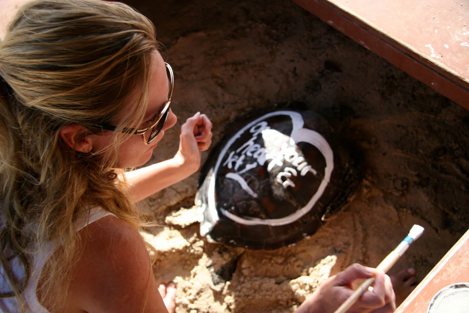 Lynda+Howitt+Fiji_Saving Turtles