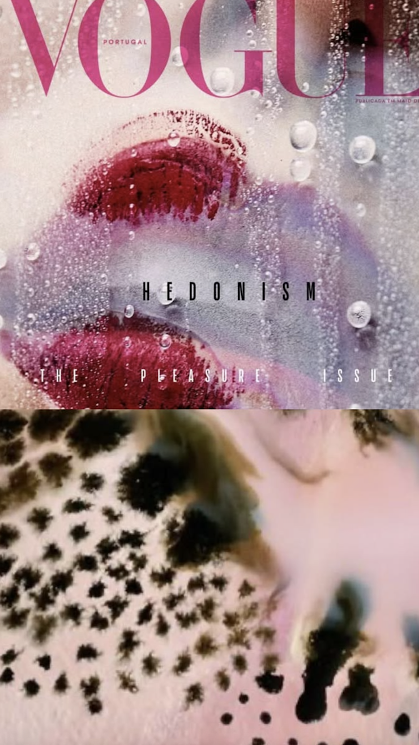 Lynda_Howitt_ArtCover6.png