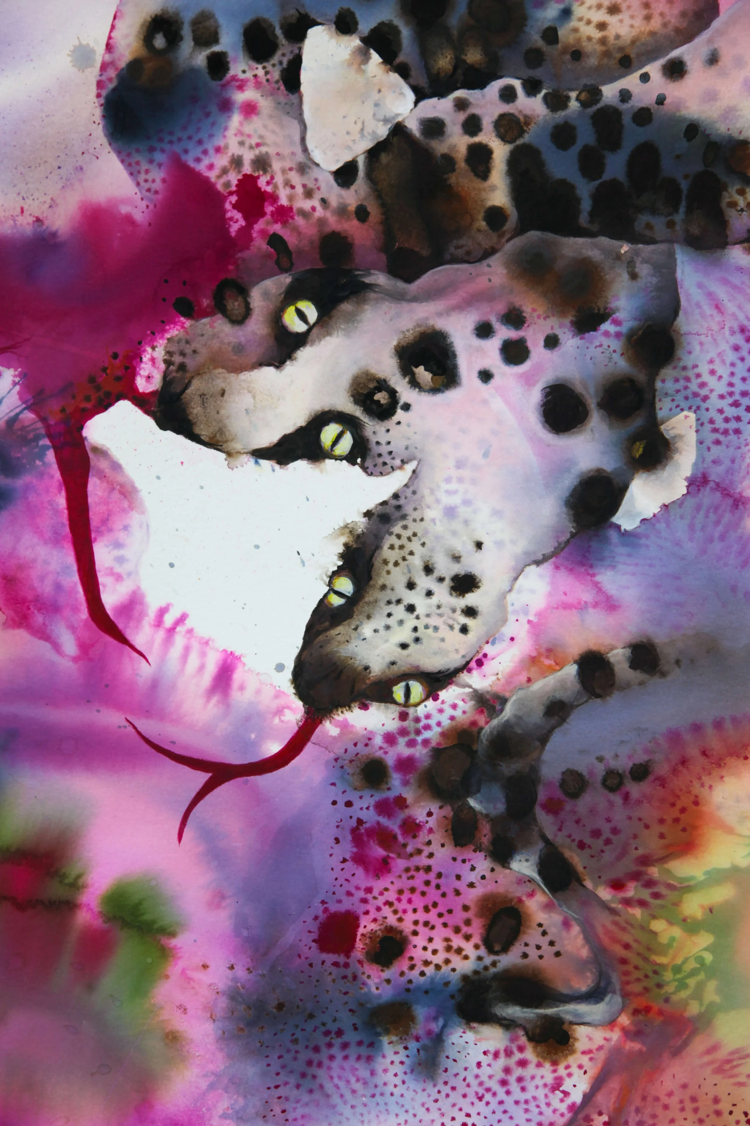 Two-Headed Serpent original ink painting by Australian artist Lynda Howitt. Contemporary abstract serpent artwork in pink, violet and black ink on paper.