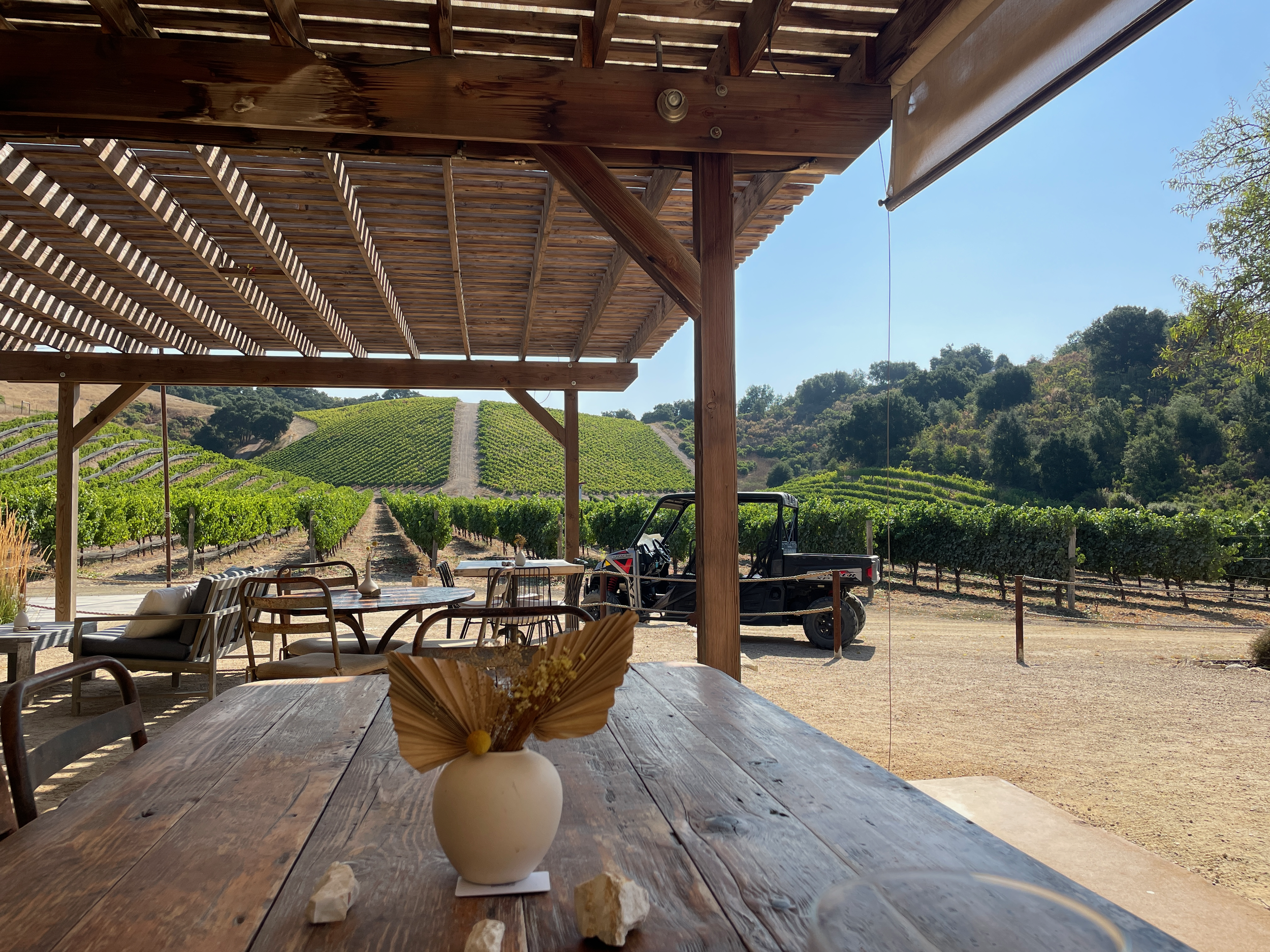 Clos Selene Patio Tasting looking at vineyards