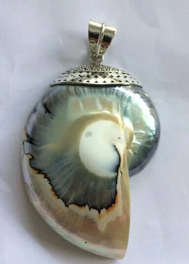 Nautilus shell pendant with decorative cap and bail 3" tall x 2" wide $65