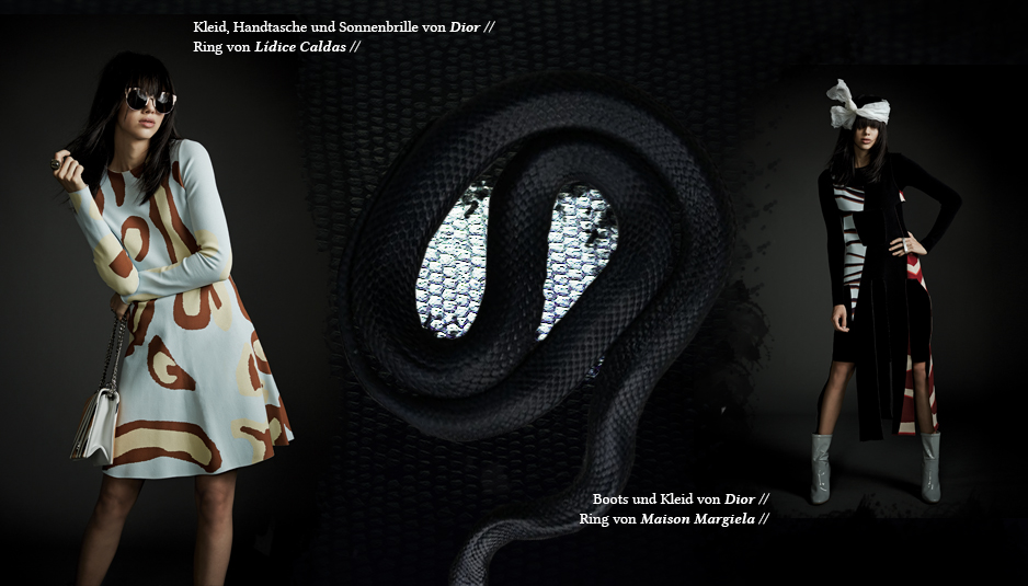 TeaserMagazine_Dionne_Editorial_1.jpg