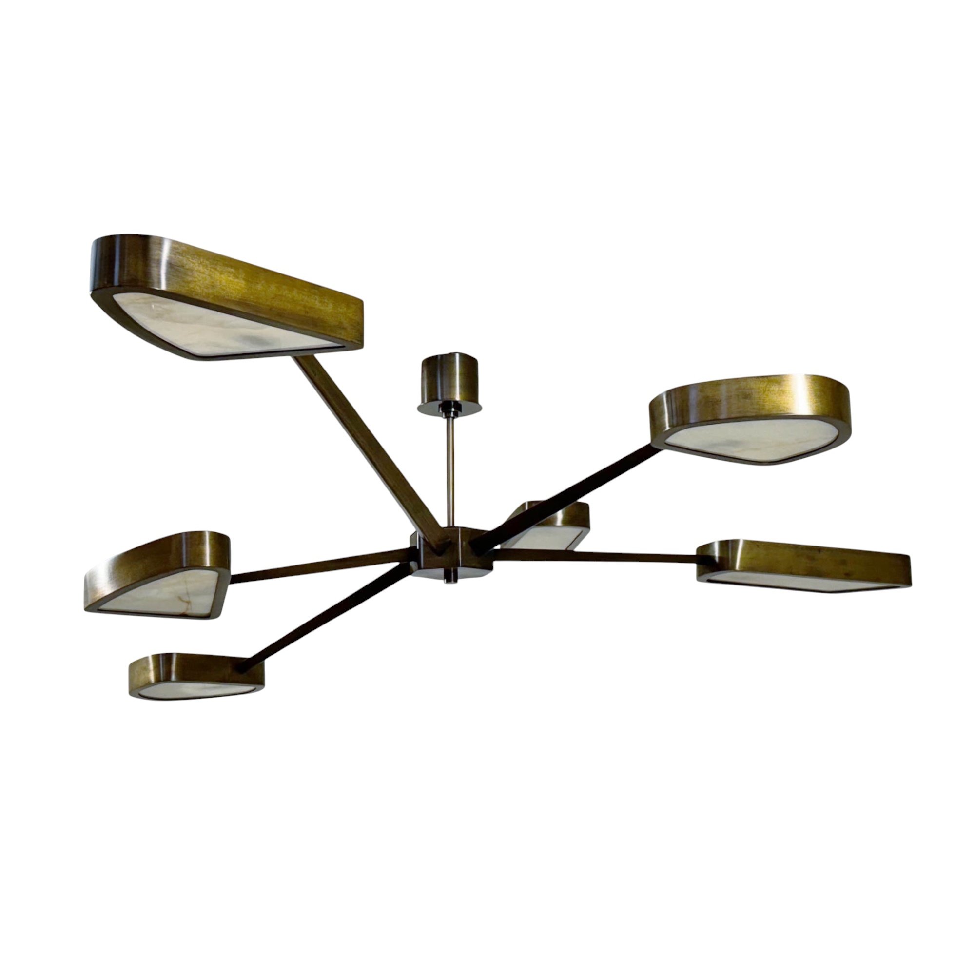 transparent-Photoroom copy.jpg