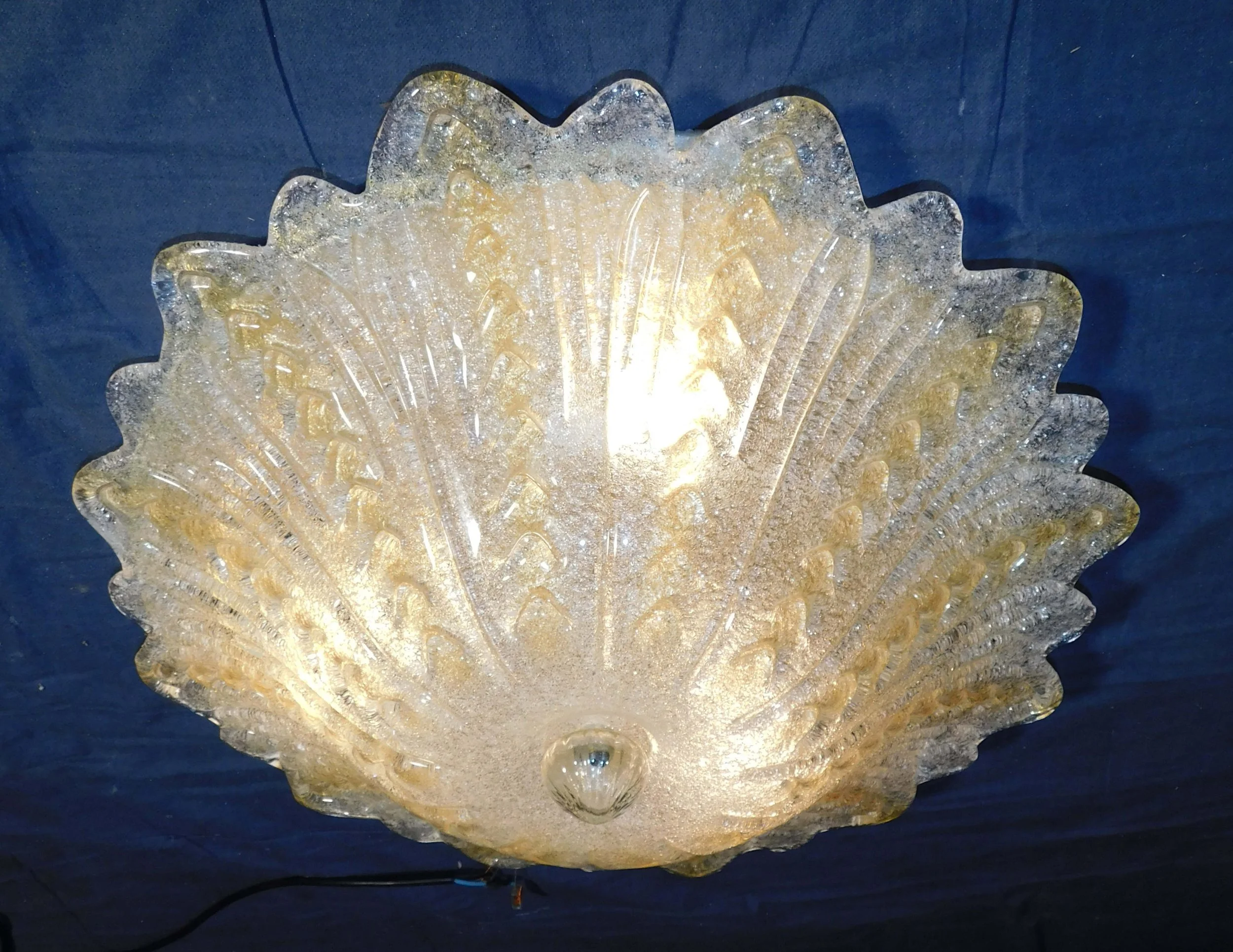 DSCN0089.JPG
