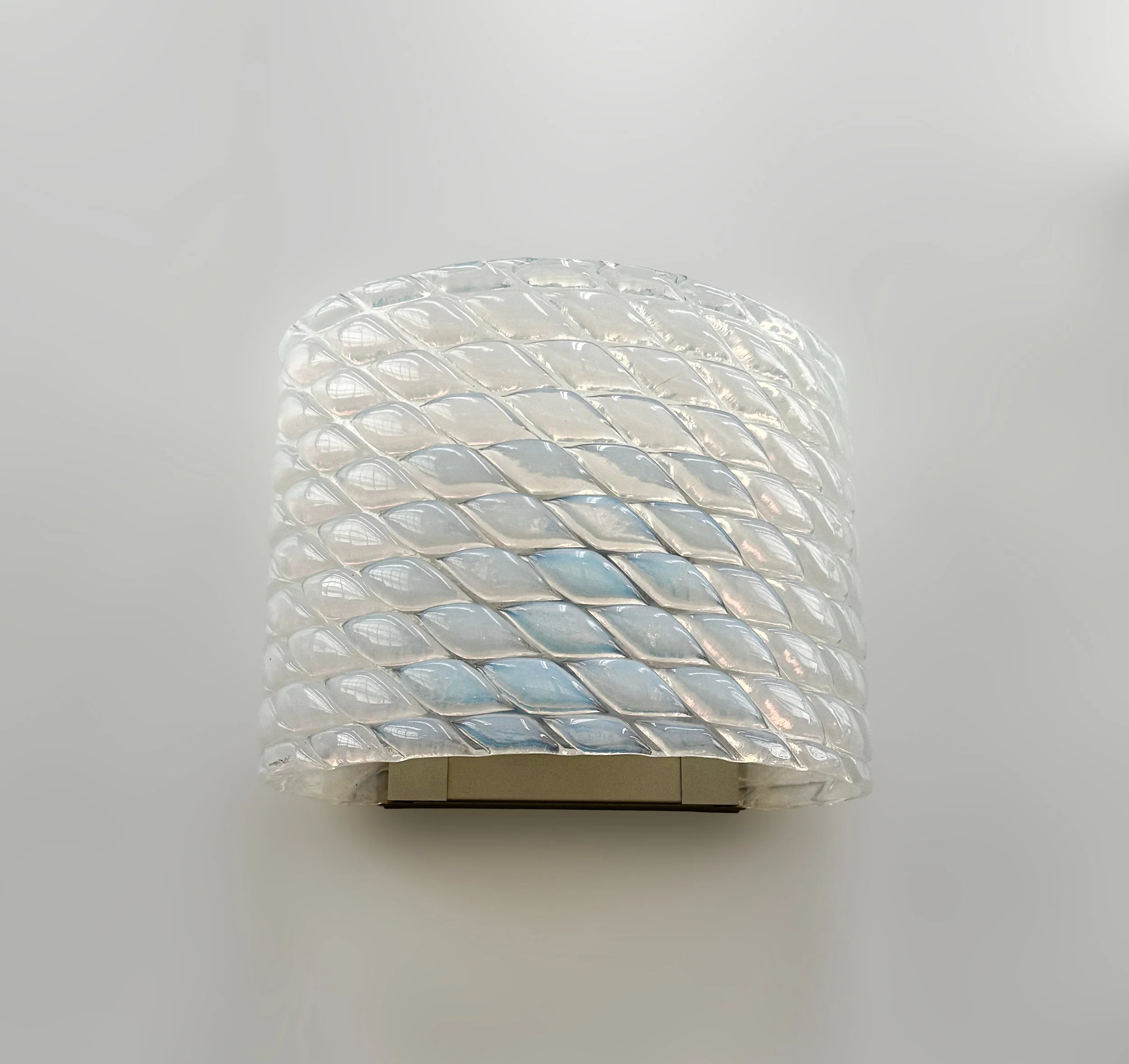 FAscia 1 AP_IMG_9503.jpg