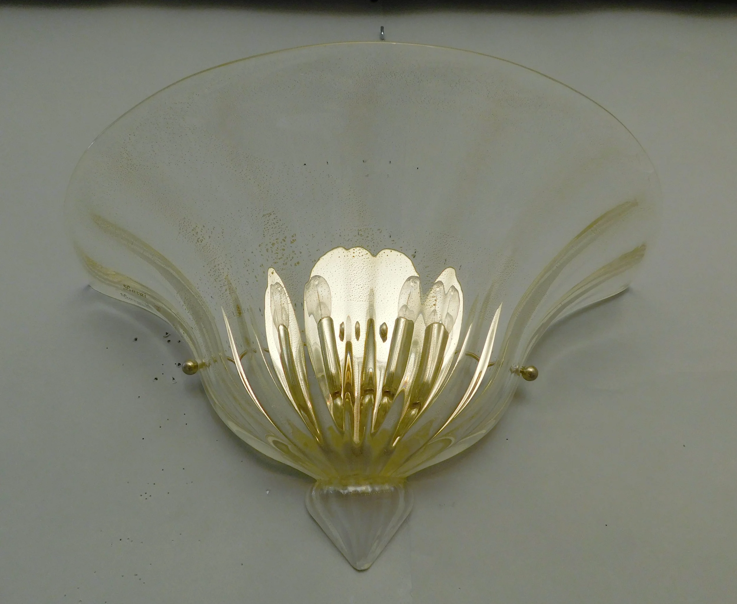 DSCN0255.JPG