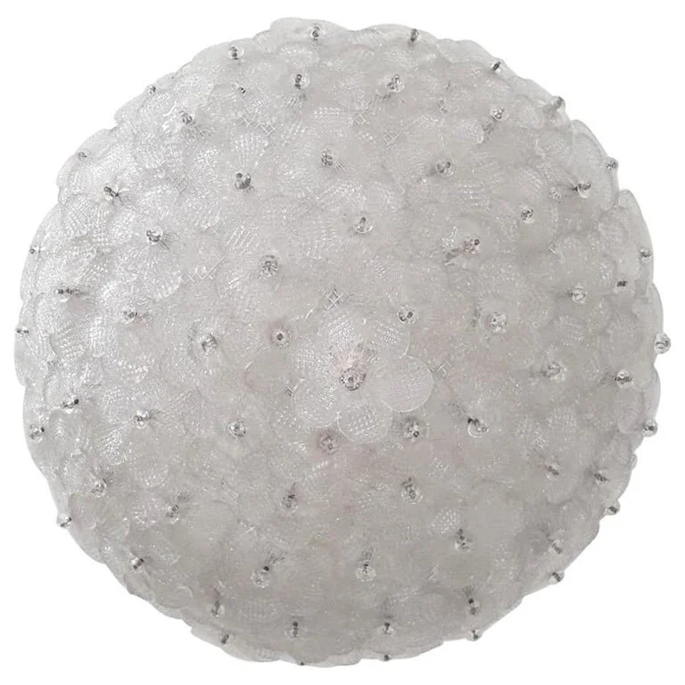 C567.jpg