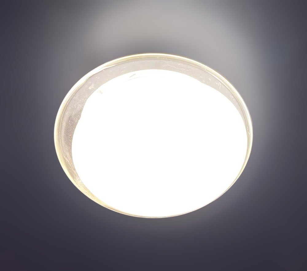 H187 F.jpeg