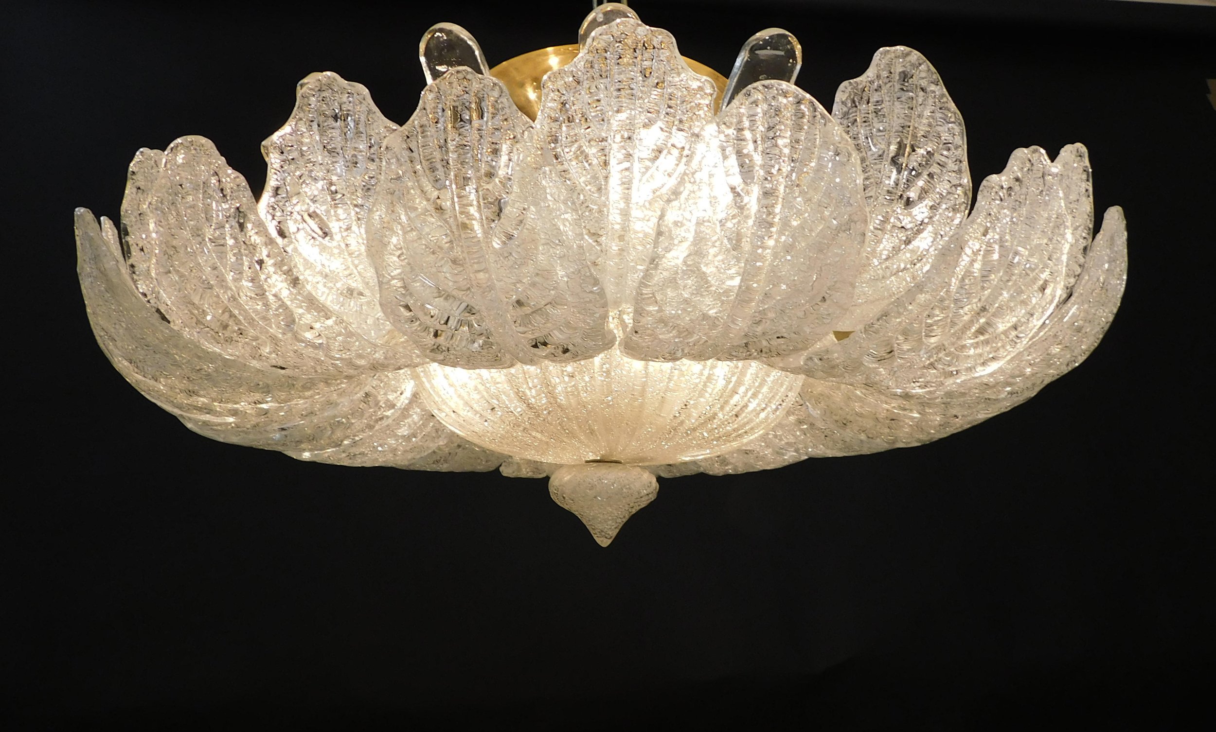 DSCN3317.JPG