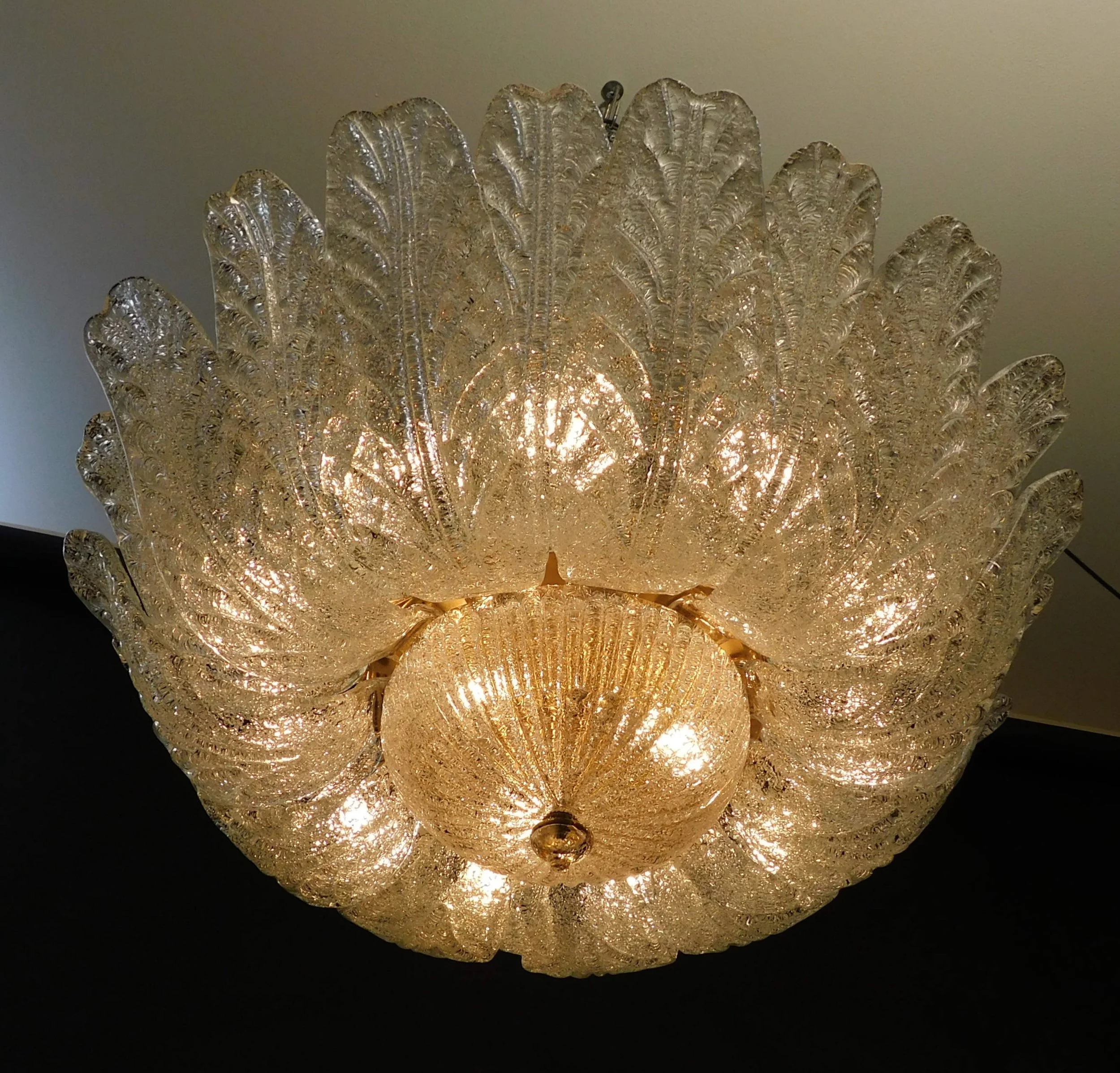 DSCN0218.JPG