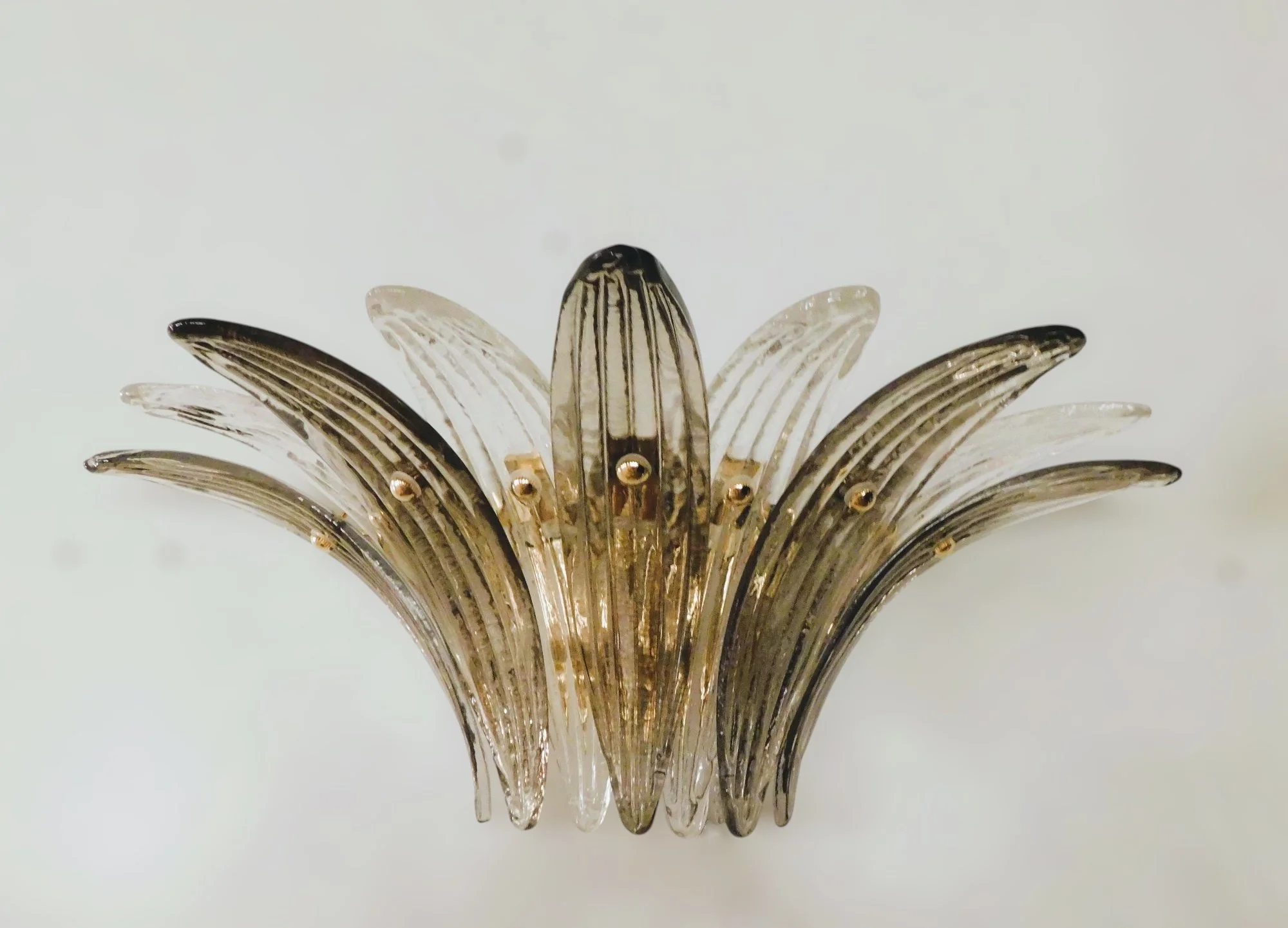 transparent-Photoroom.jpg