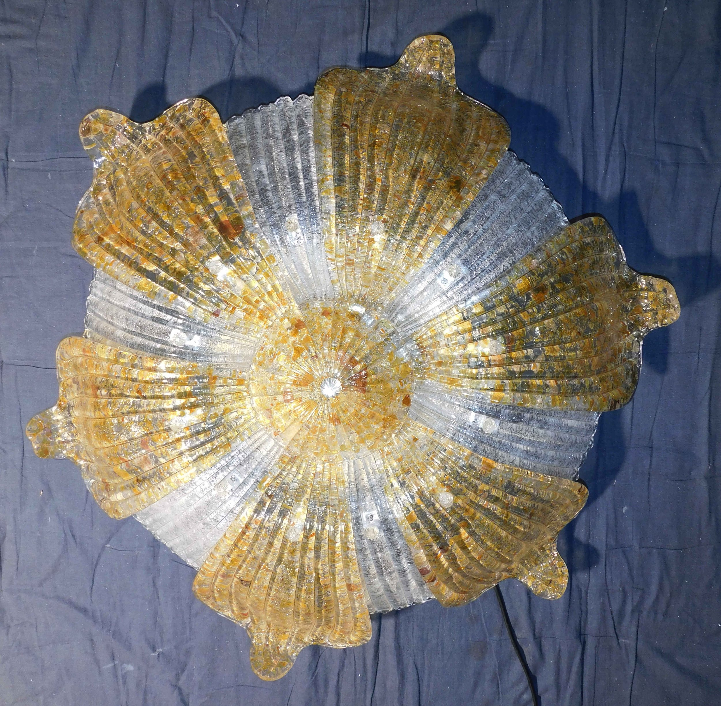 DSCN0117.JPG